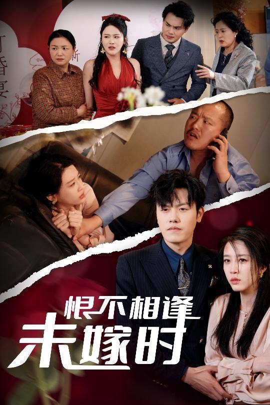 恨不相逢未嫁时(全集)