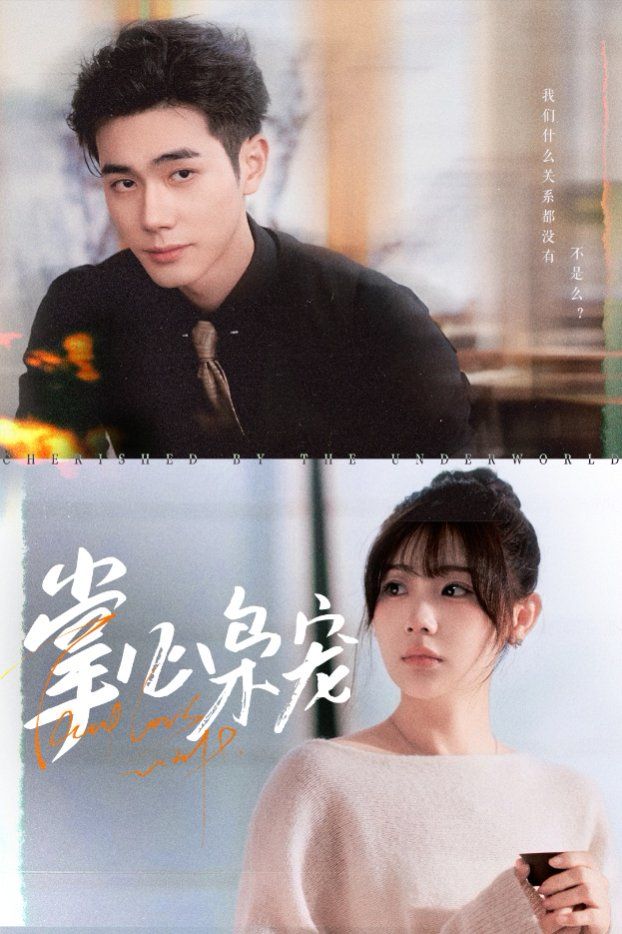 掌心枭宠(全集)