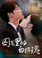 囚笼里的白玫瑰第34集