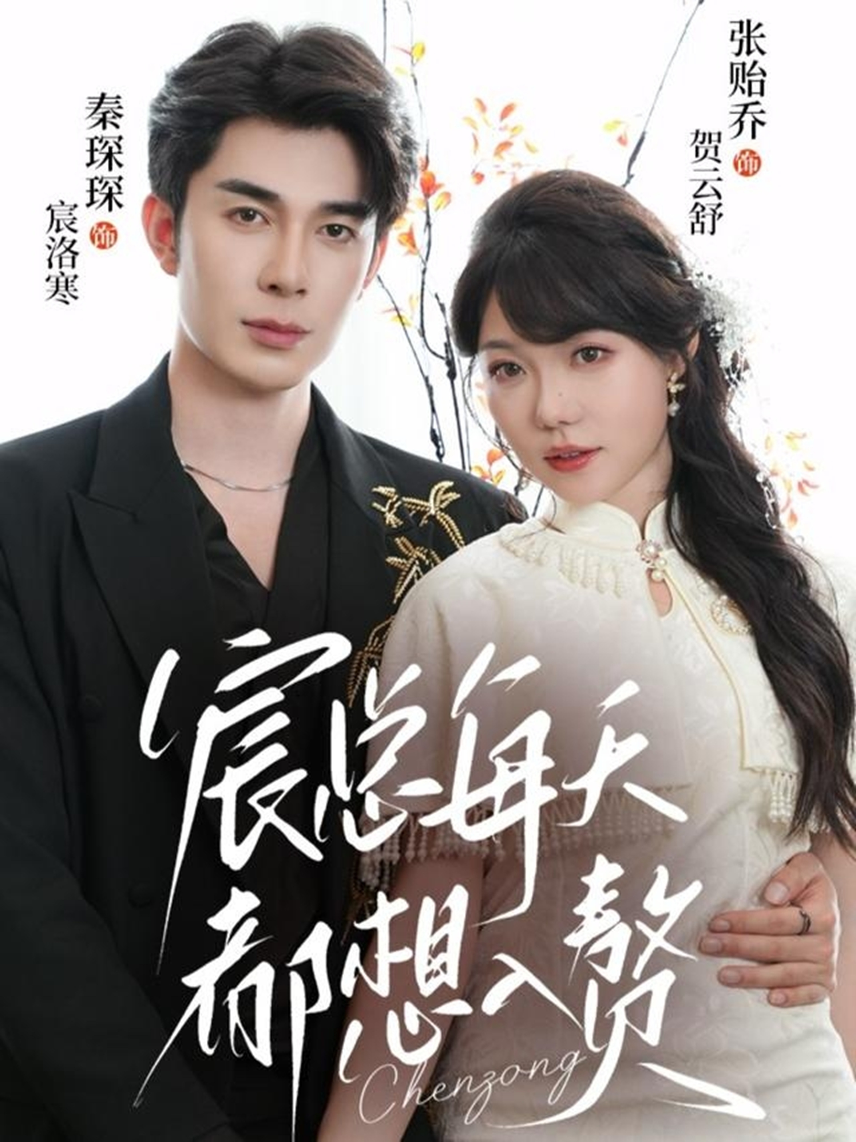 宸总每天都想入赘(全集)