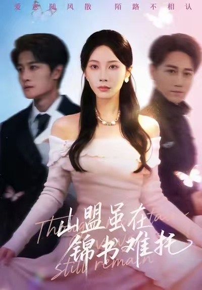 山盟虽在锦书难托第05集