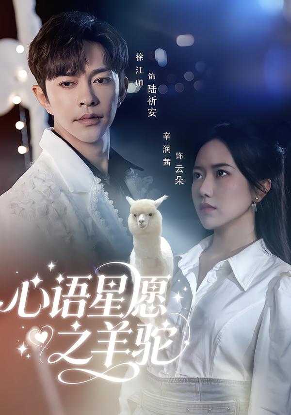 心语星愿之羊驼第36集