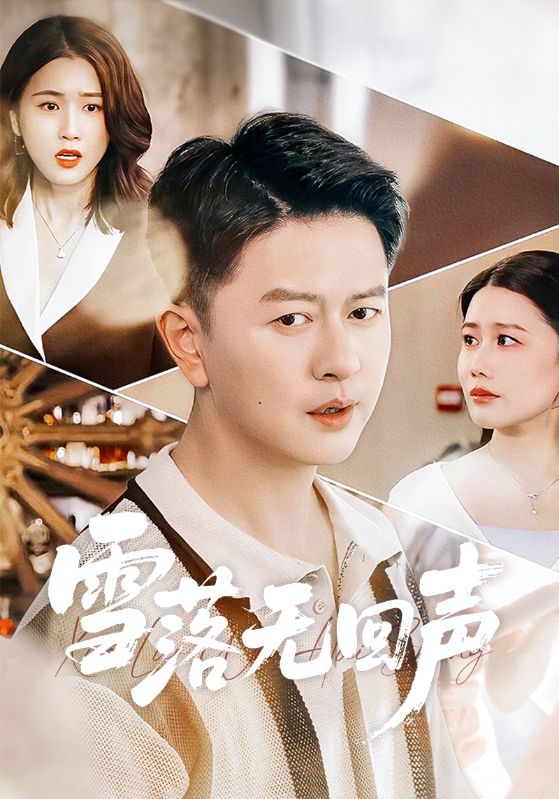 雪落无回声第40集