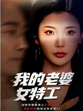 我的老婆女特工第45集