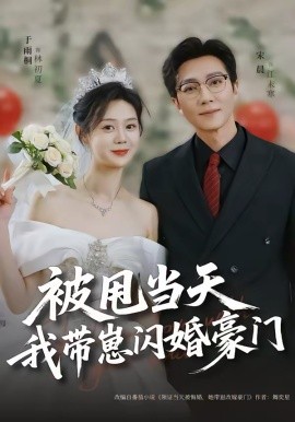 被甩当天我带崽闪婚豪门(全集)